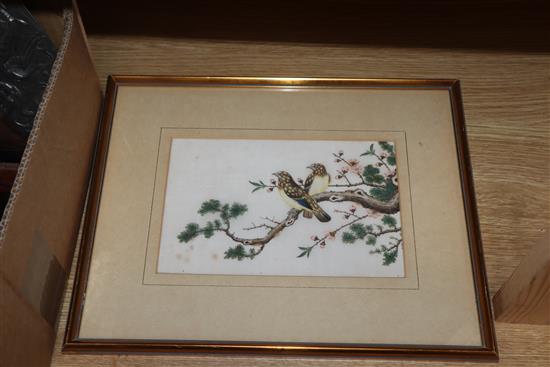 Five Chinese pith paintings, four of birds and two of fish